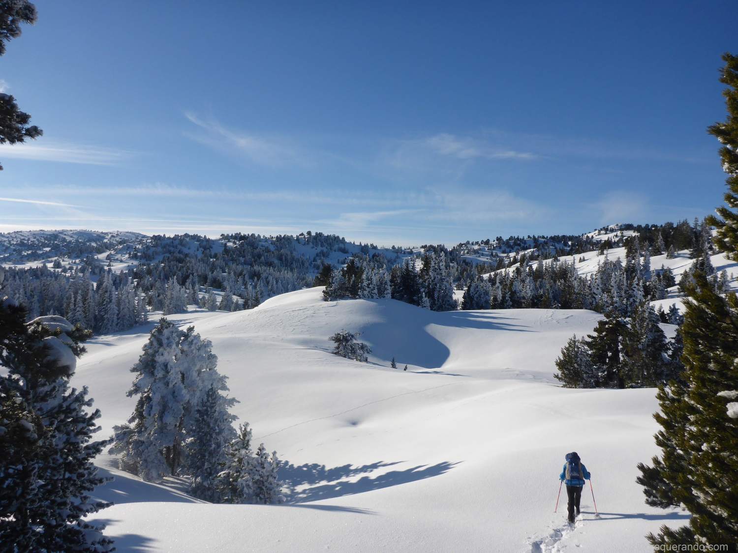 Hauts Plateaux Vercors Neige 2