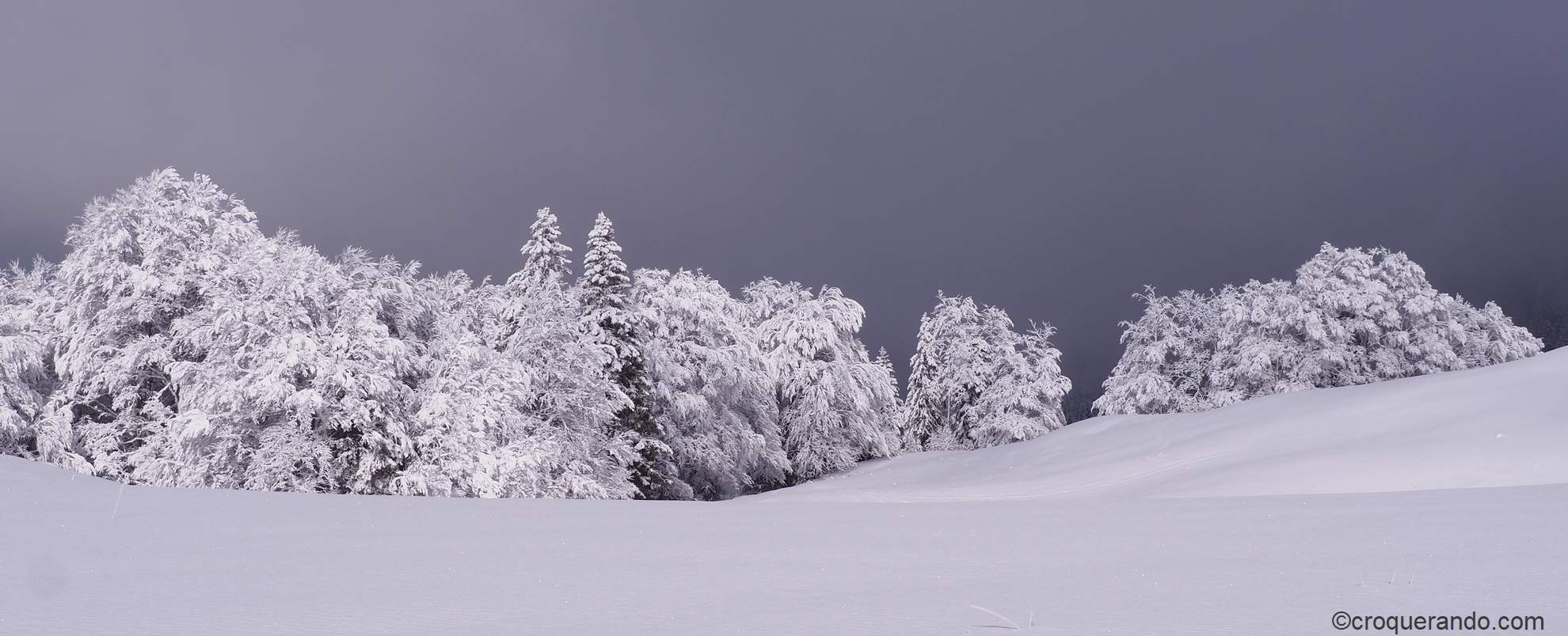 Emeindras de dessous chartreuse neige