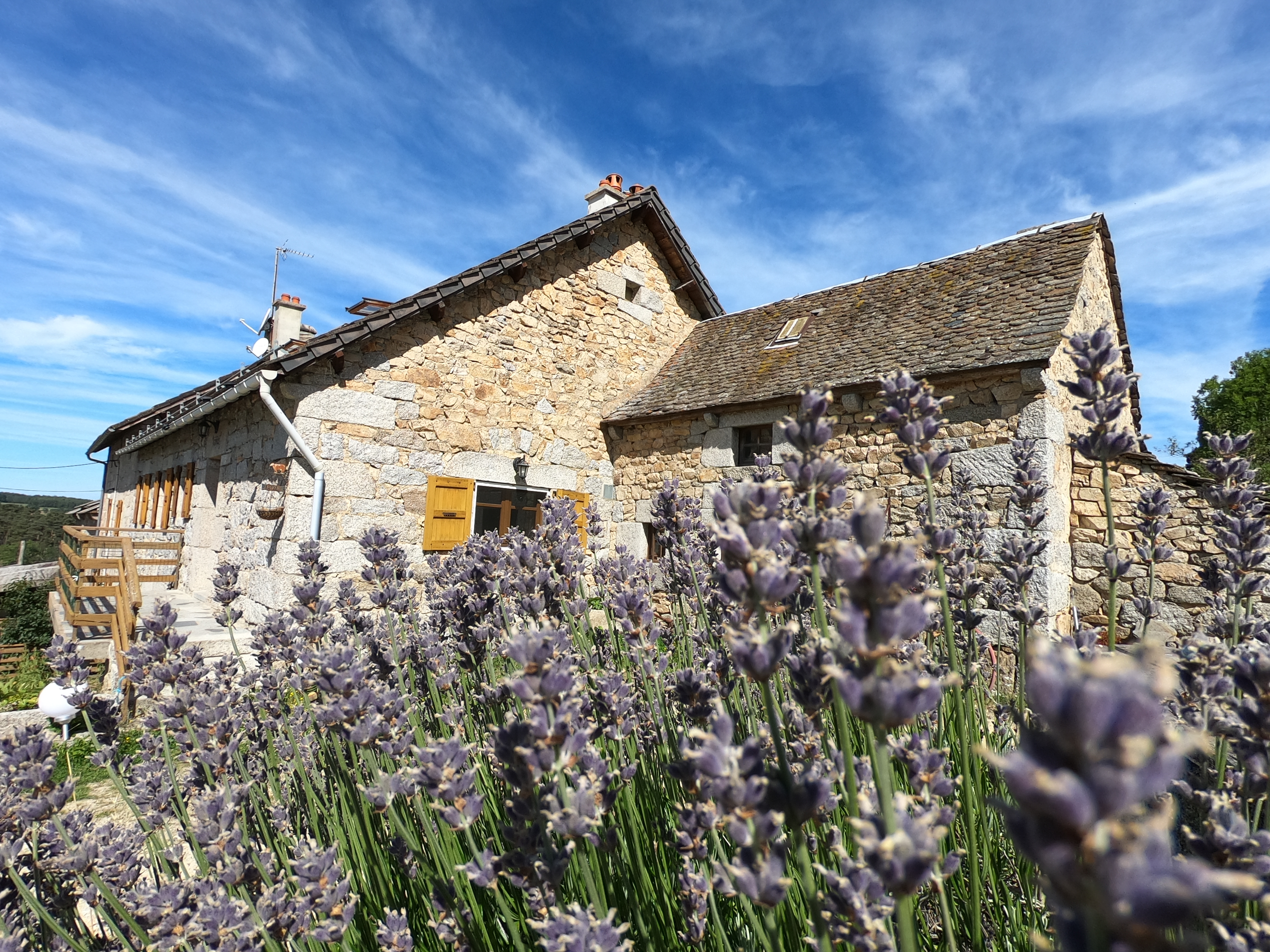 Les chambres du saladou vue sur la lavande