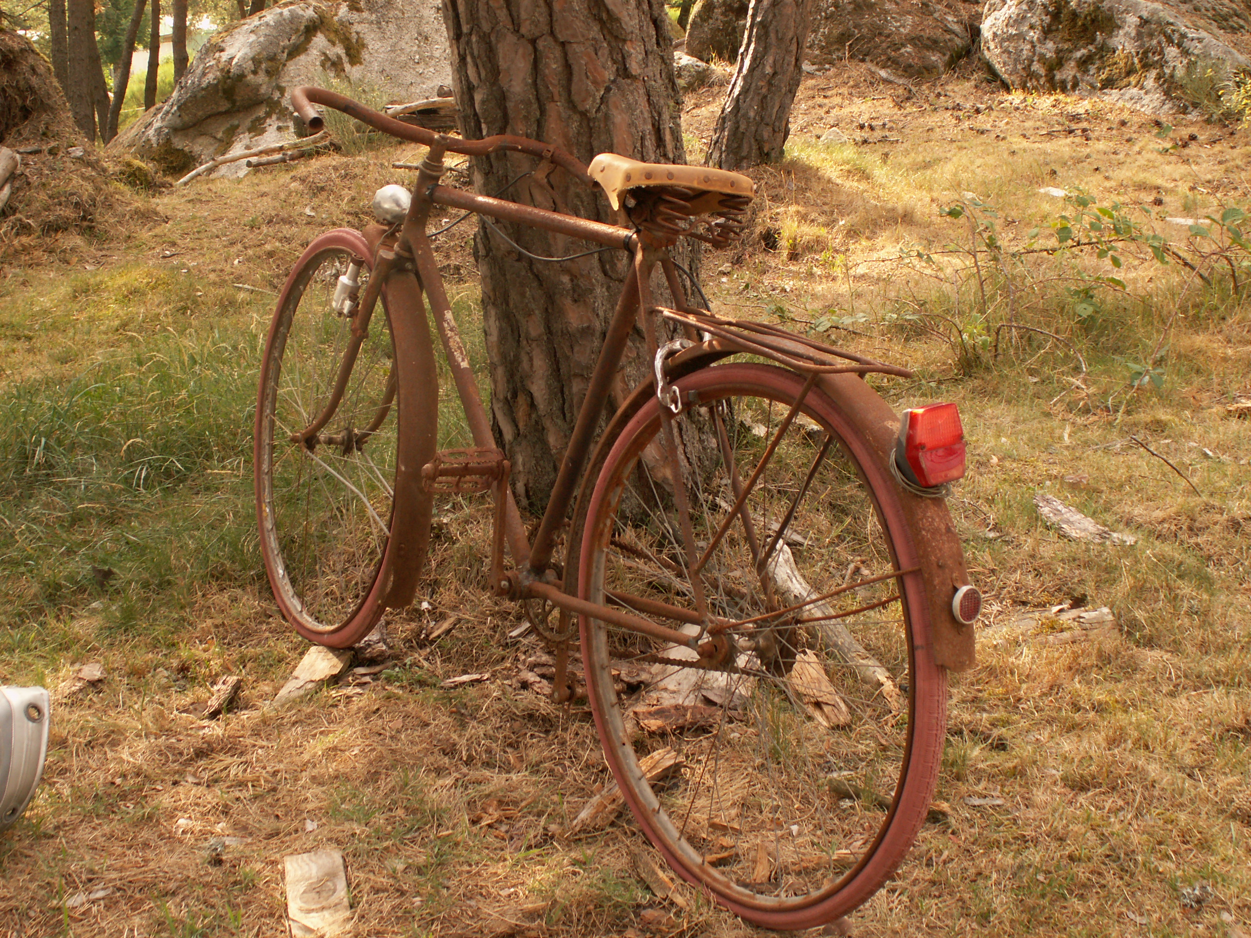 Pict0022 jpg 1 