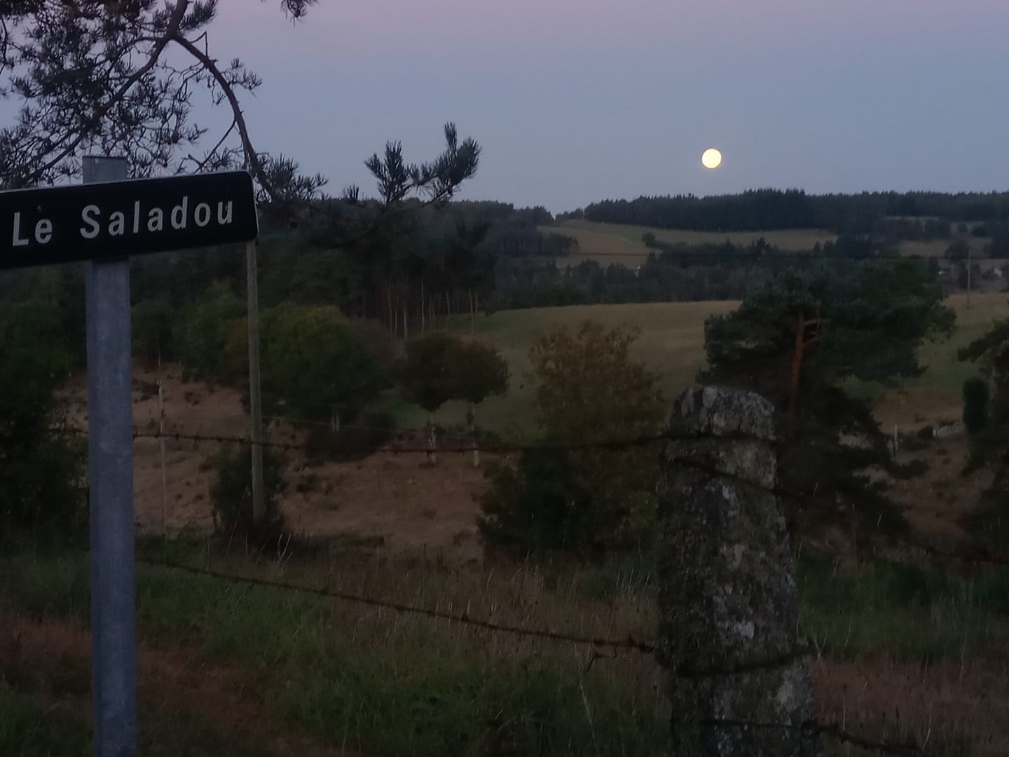Le saladou