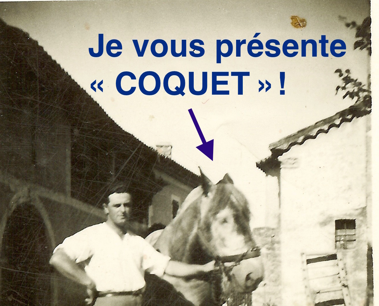 Photo coquet recadre copie