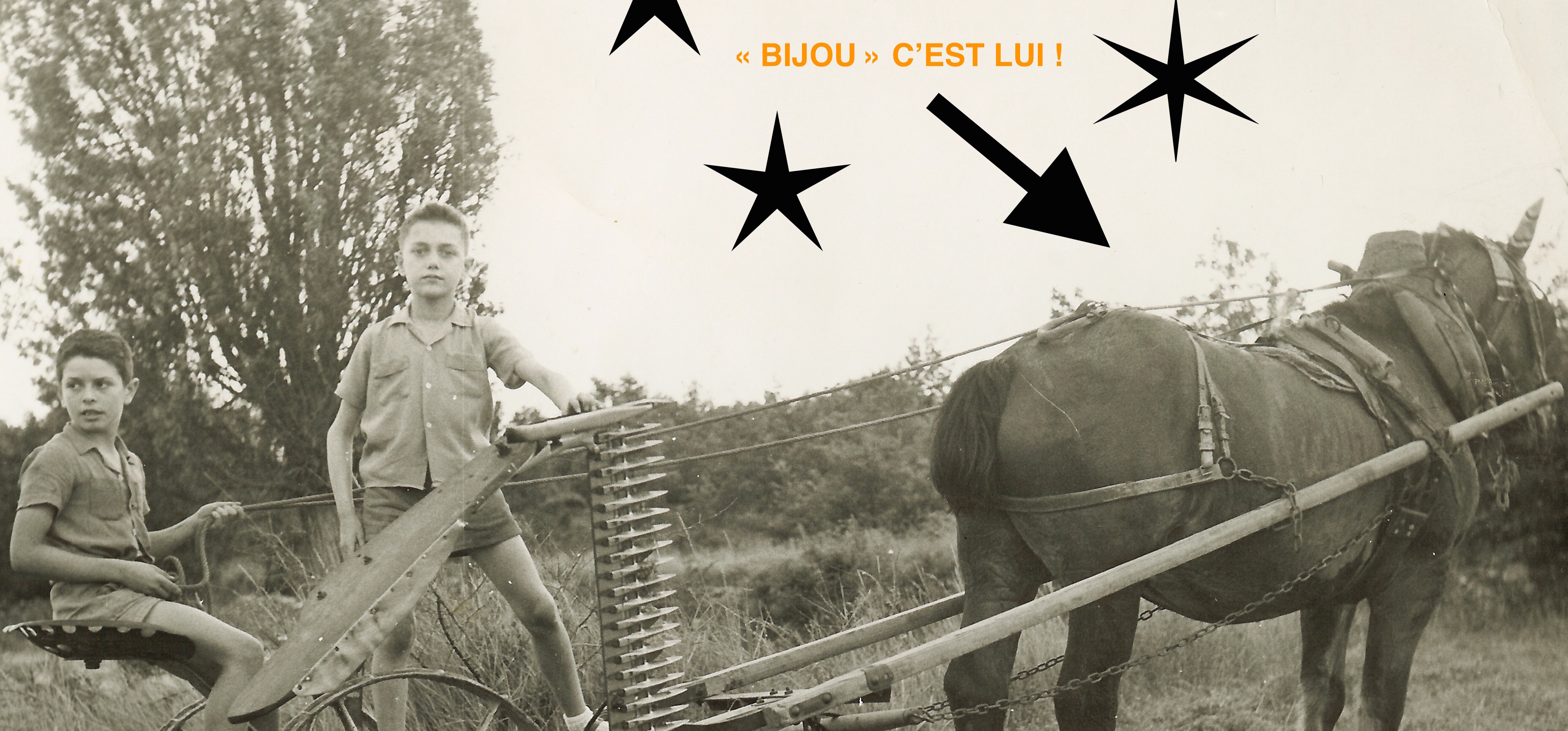 Photo bijou serge copie