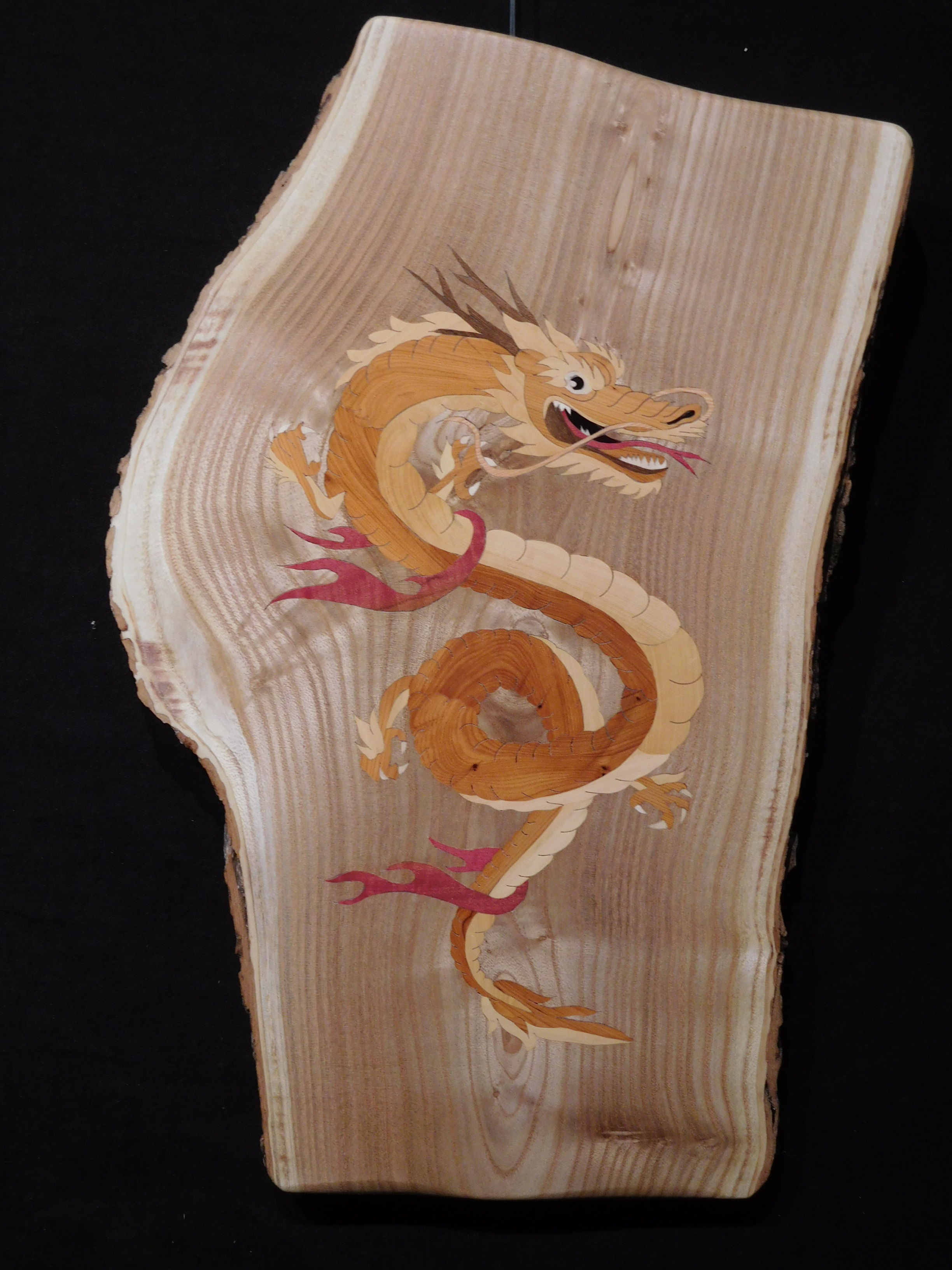 177 dragon 28x 45