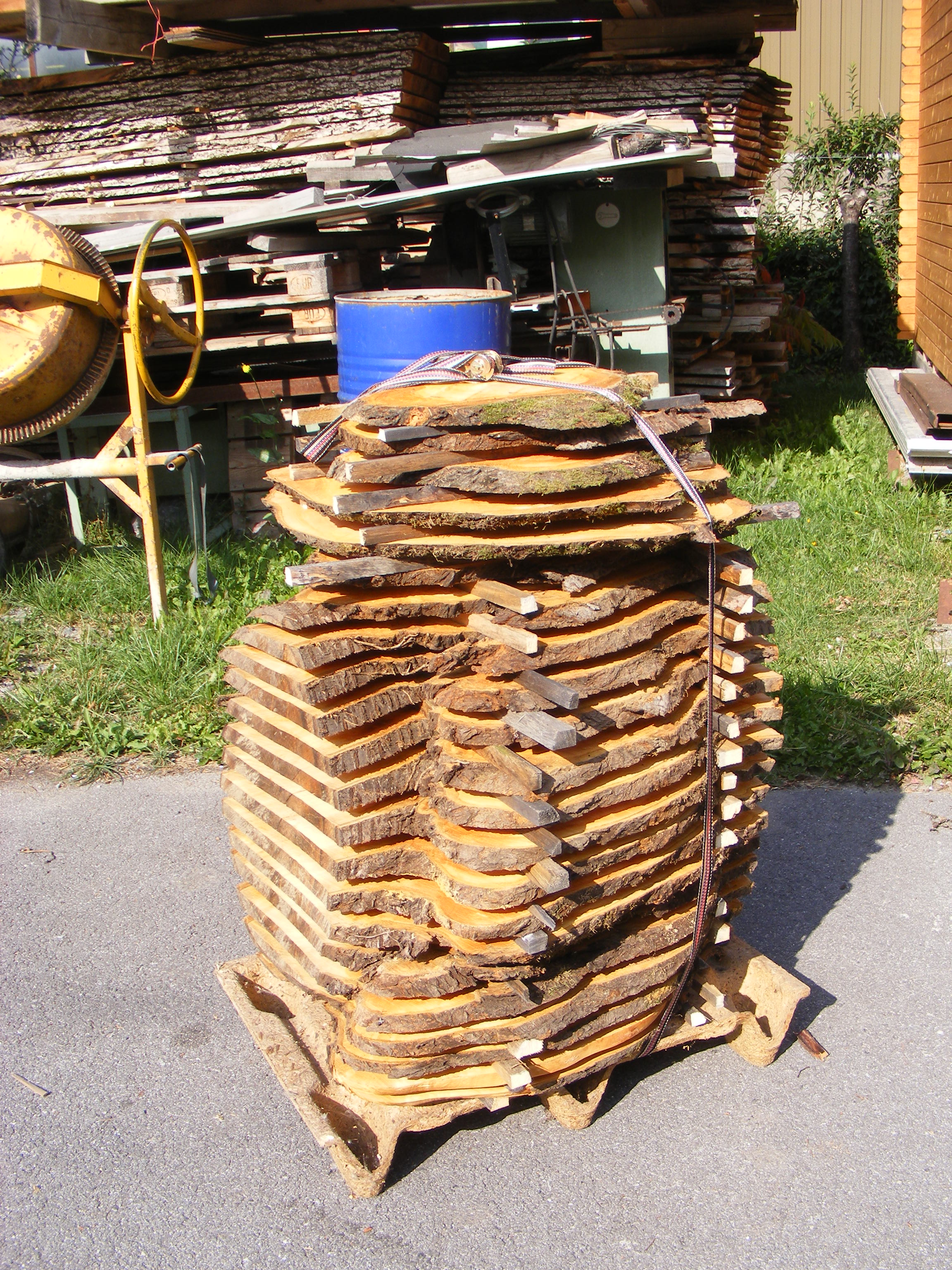Tete de cerisier