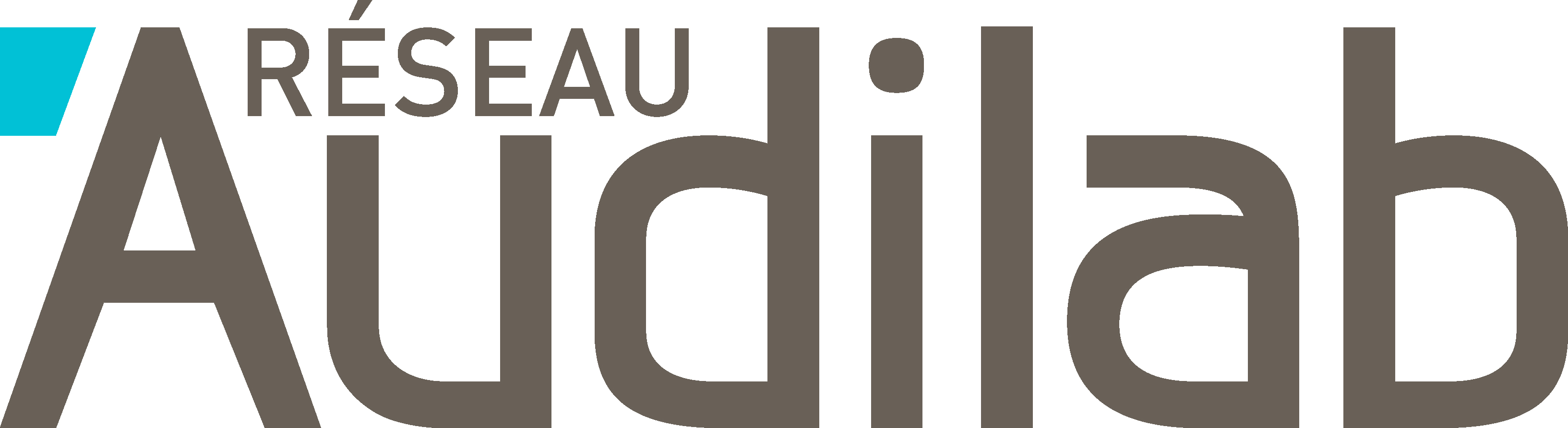 Logo reseau quadri rvb
