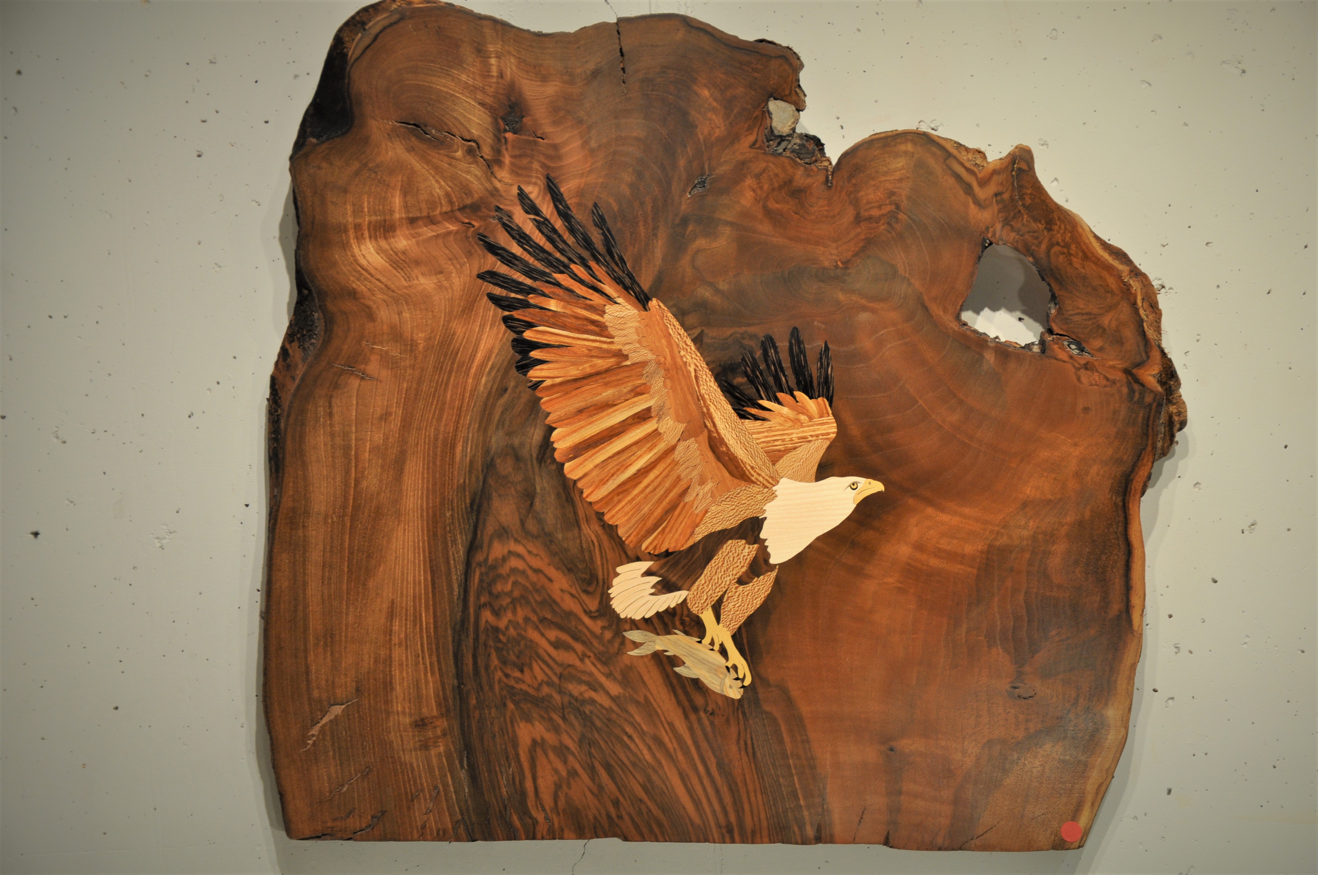 207 a pygargue 72x66