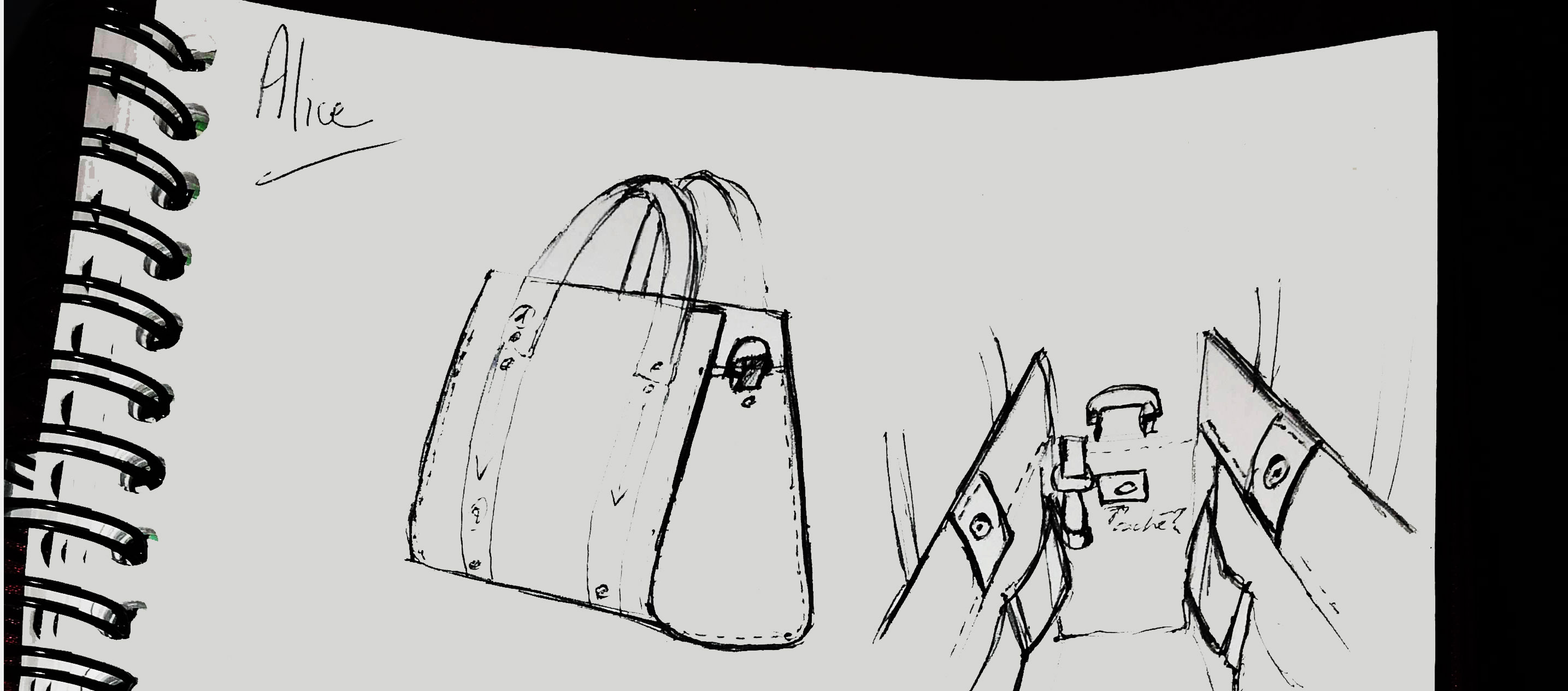 Croquis alicem