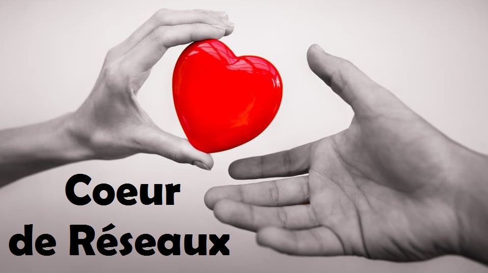 Coeur reseaux 13