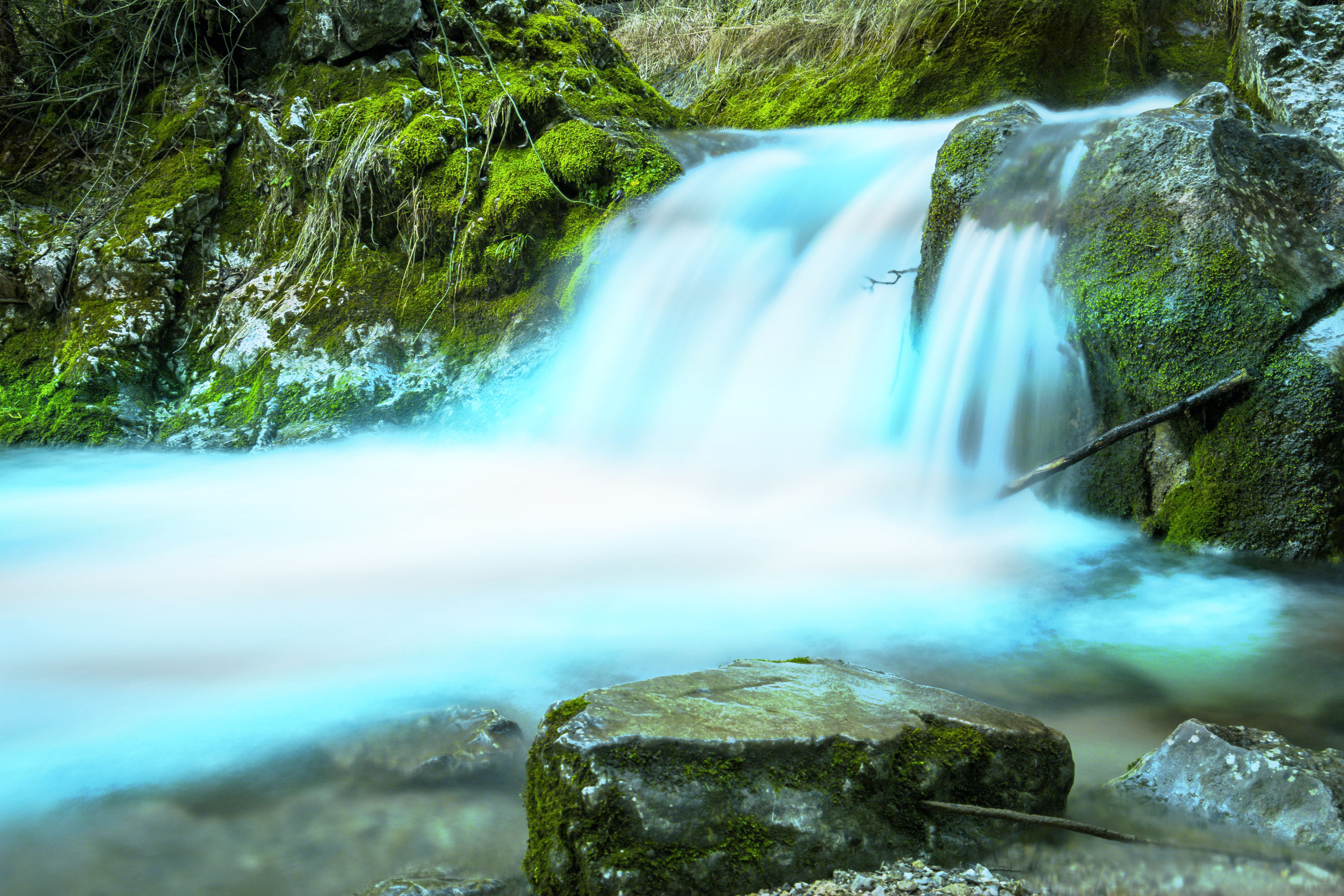 Images gratuites creative commons cco 48