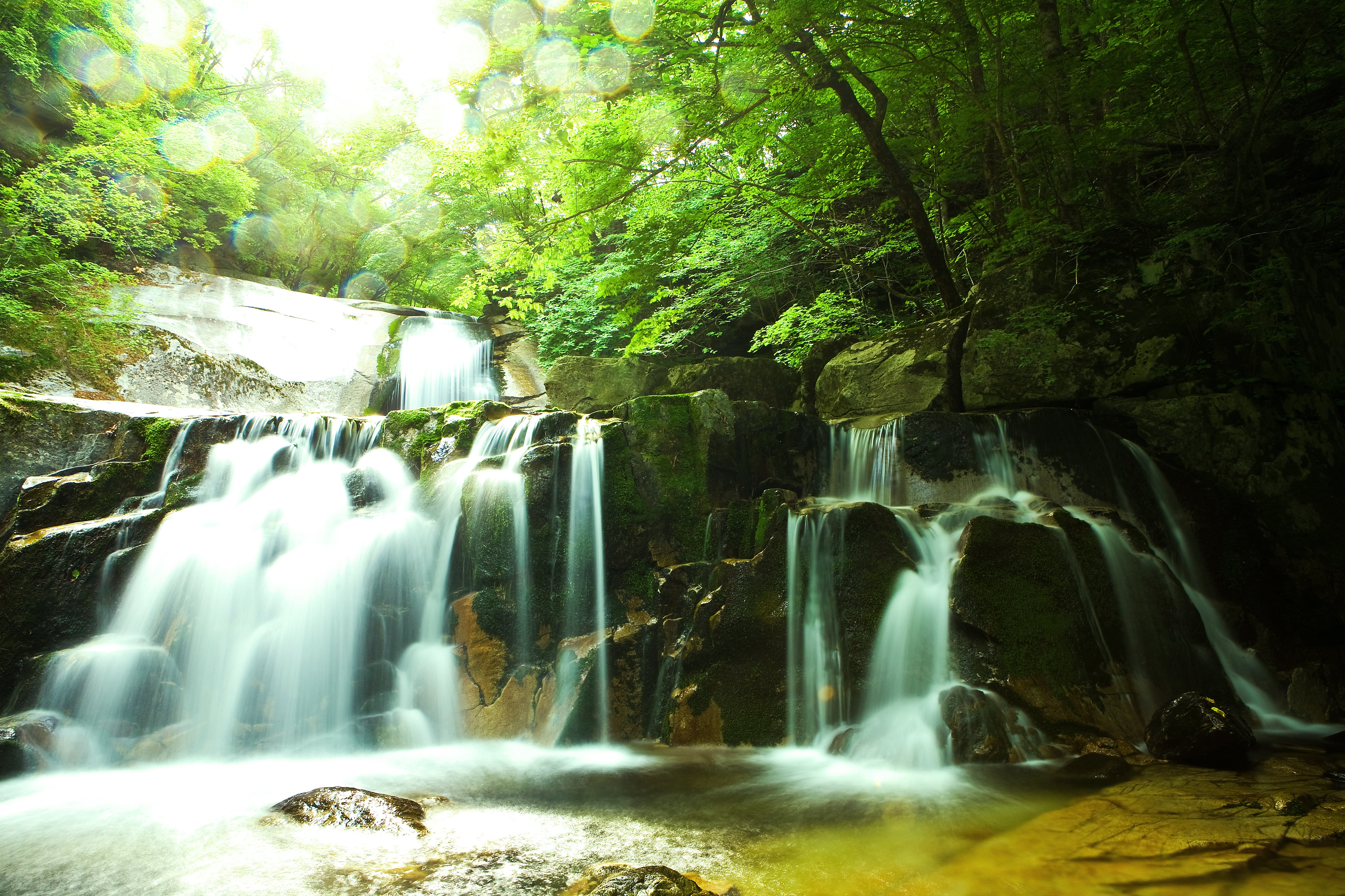 Images gratuites creative commons cco 98