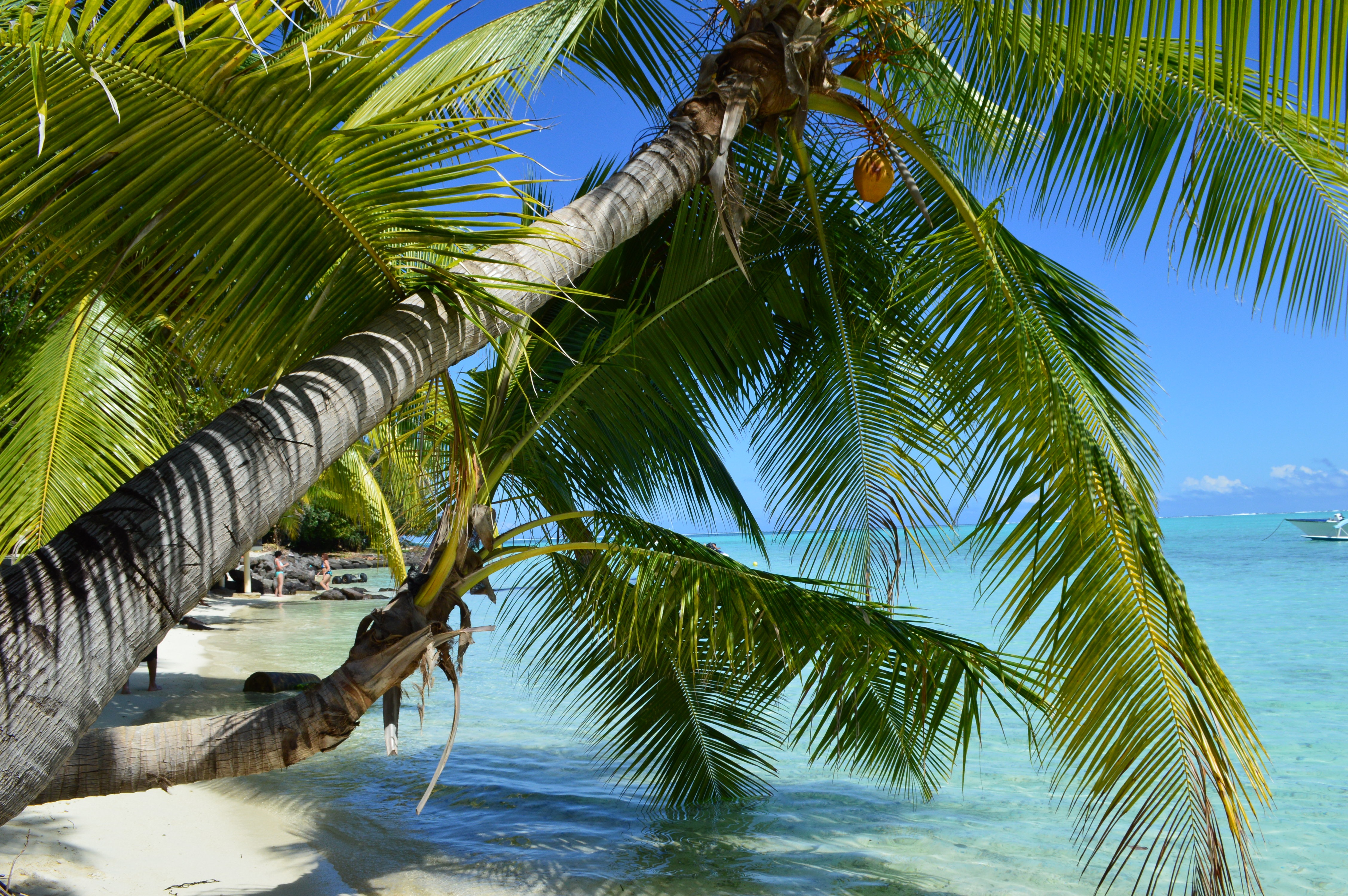 Bora bora destination voyage 2 