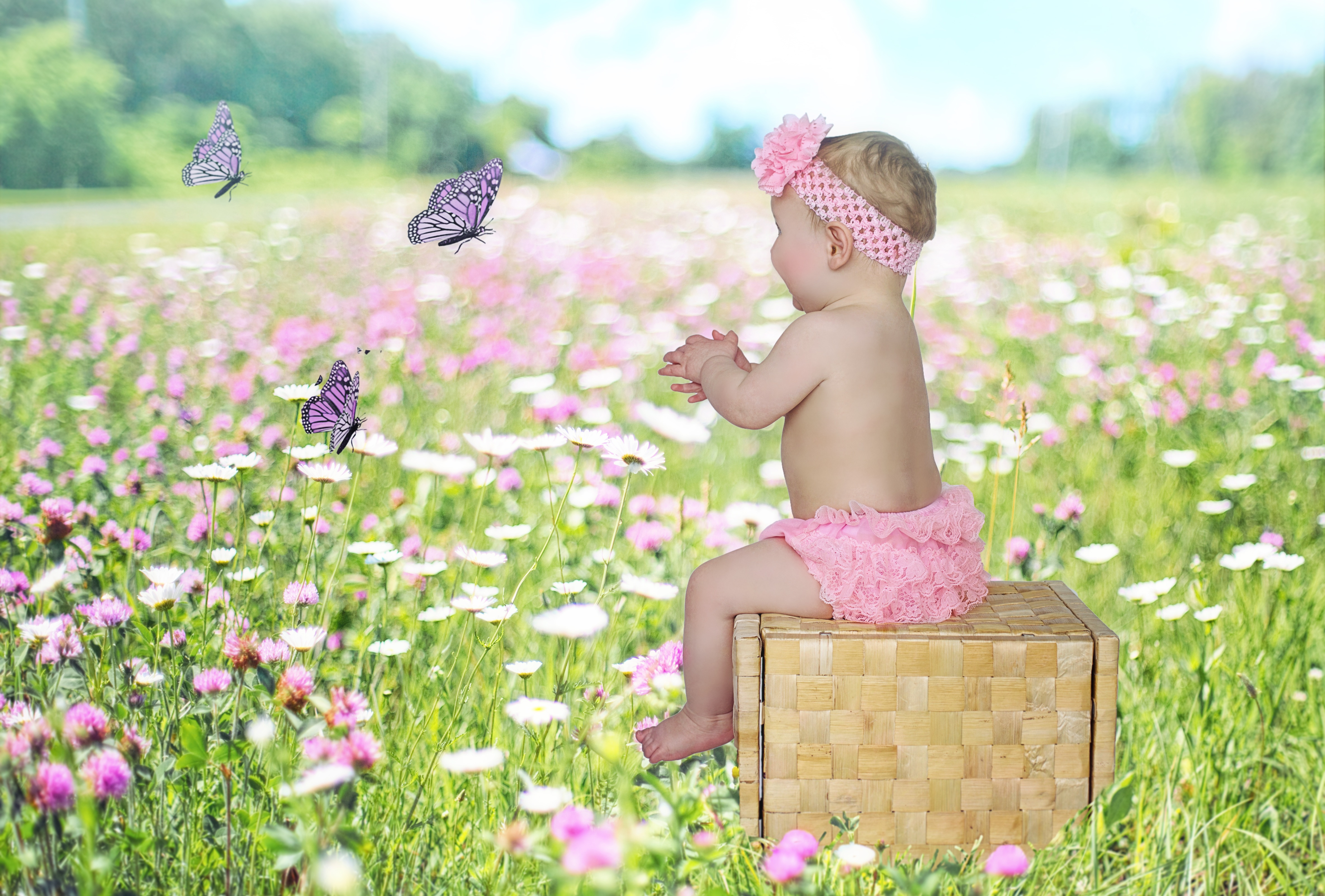 Bebe3ans fleurs fotomelia images sabs droits d auteurs 11