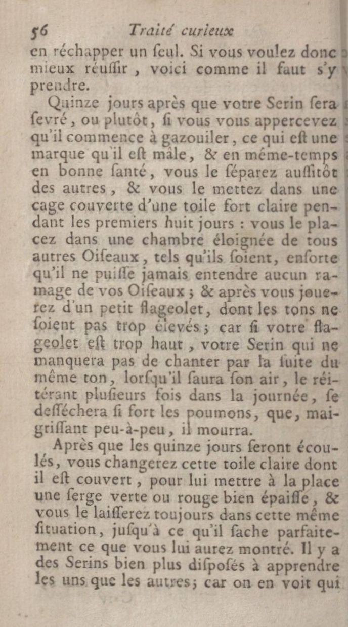 Serins chant 3