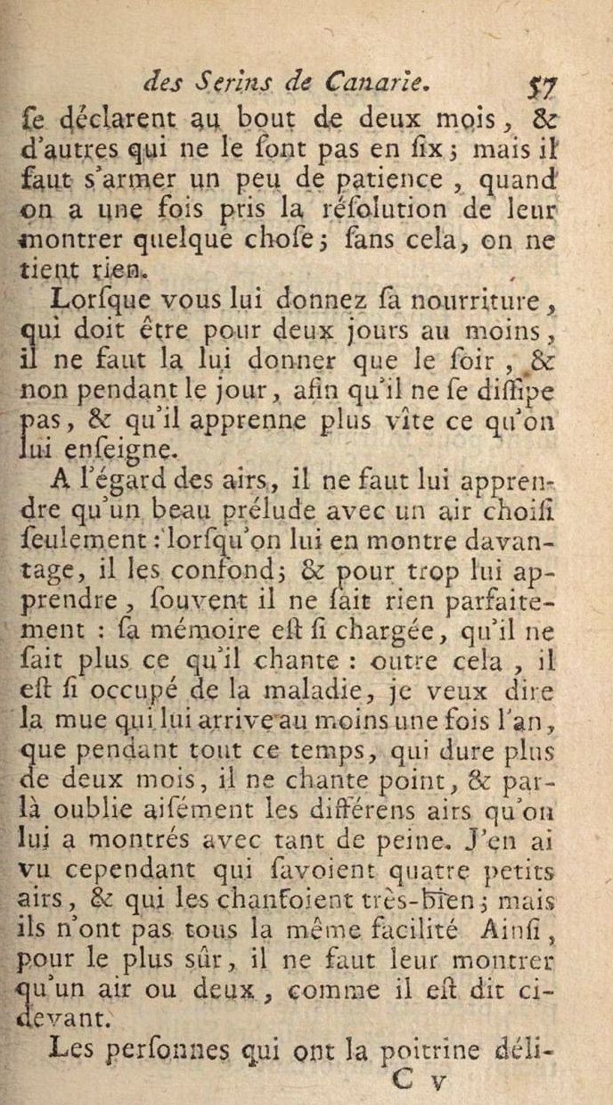 Serins chant 4