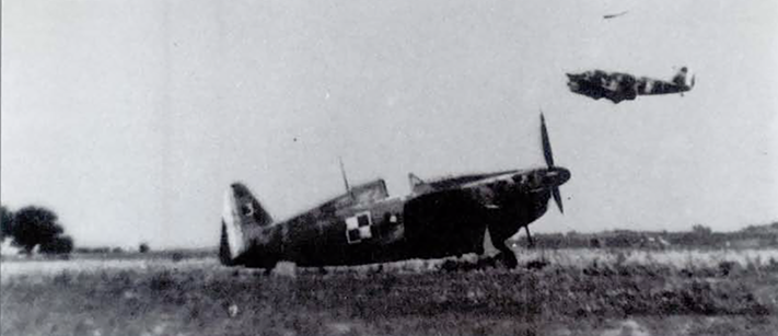 Ms 406 au damier pol polish wing 