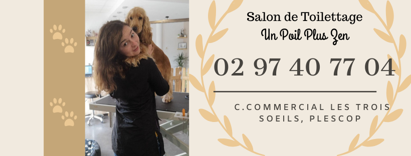 73358346 530505941127183 1472071968797753344 n