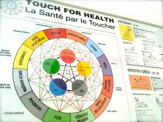 Kinésiologie Rennes et Fougères pour la santé et le bien être