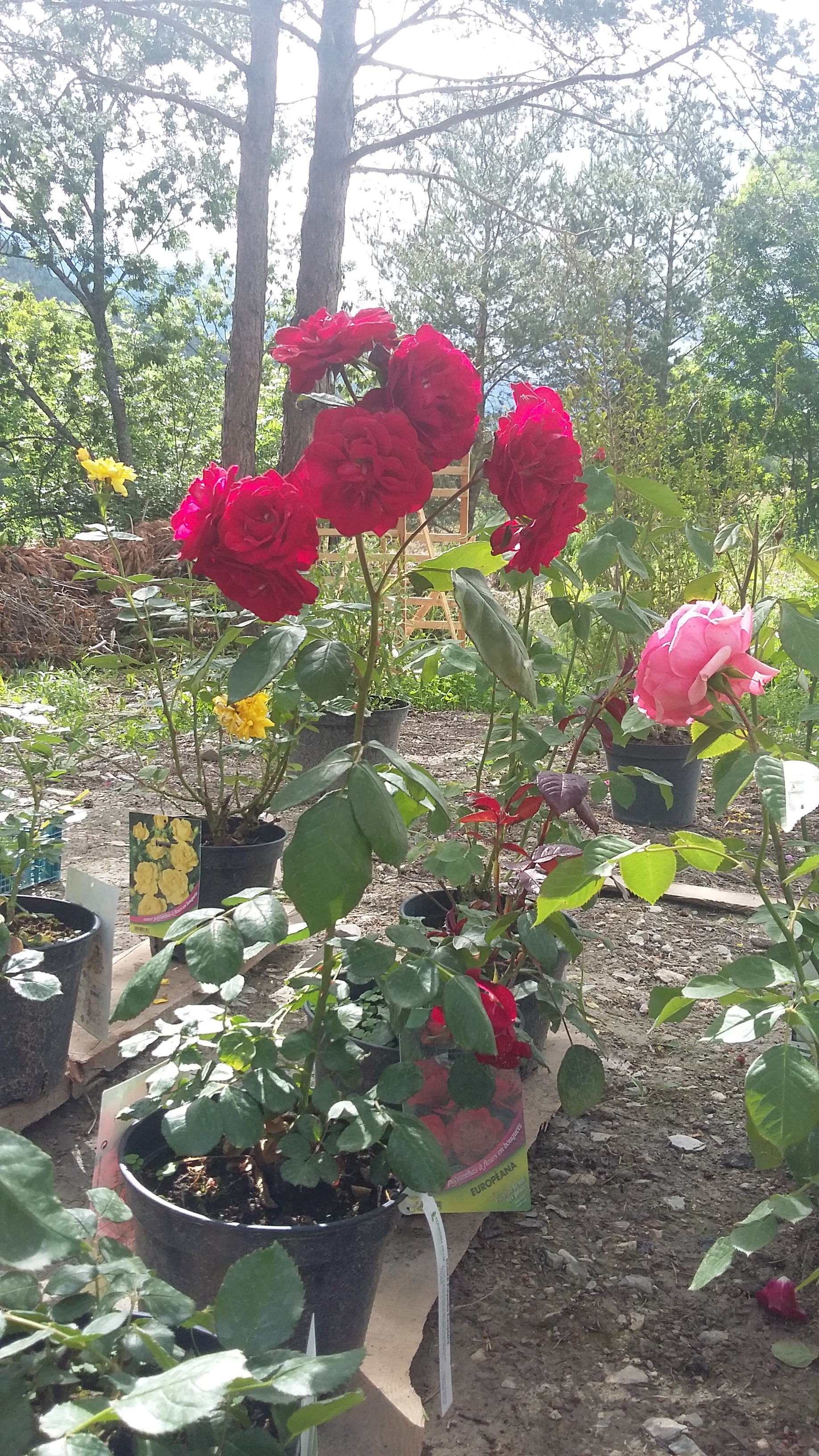 20180608 165527