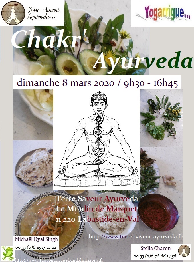 2020 03 08 Chakrayurveda essai 1