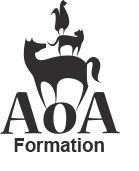 Aoa formation