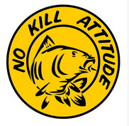 No kill attitude jaune