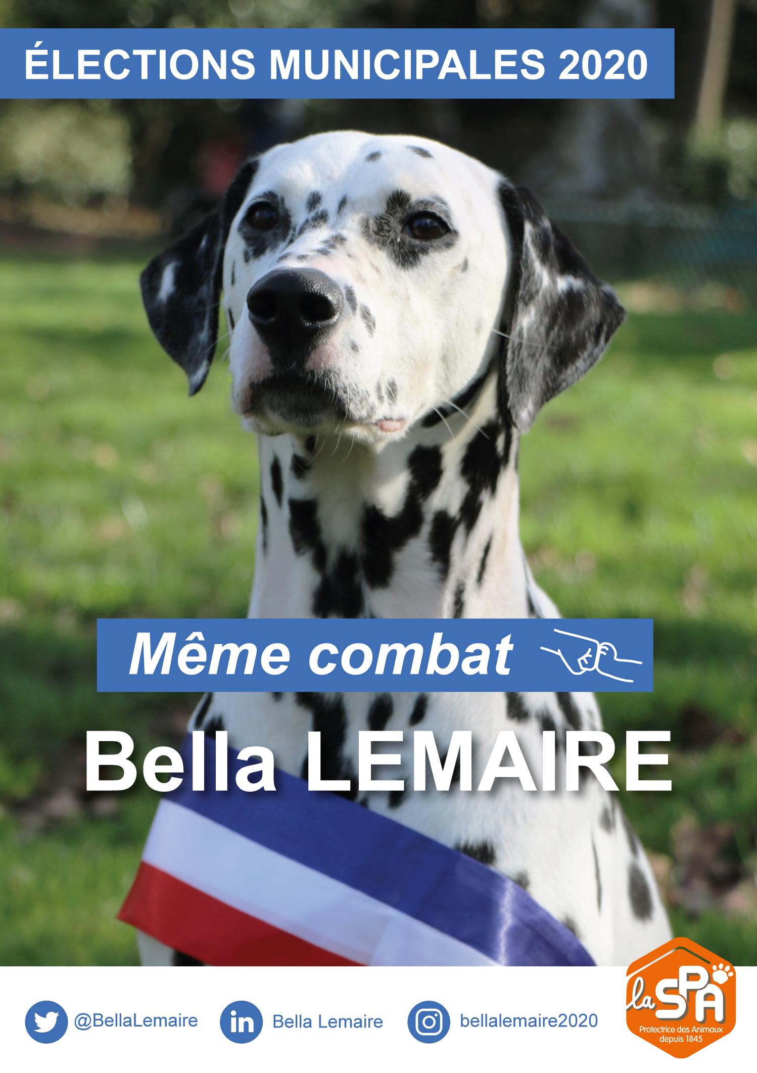 A3 bellalemaire2020 1 0 0 0 0 0 0 0 0 0 0 0 0 0 0 0 0 0 0 0 0 0 0 0 0 0 0 0 0 0 0 0 0 0 0 0 0 0 0 0 0 0 0 0 0 0 0 0 0 0 0 0 0 0 0 0 0 0 0 0 0 0 0 0 0 0 0 0 0 0