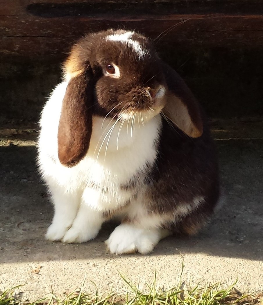 20190220 151045 Copie