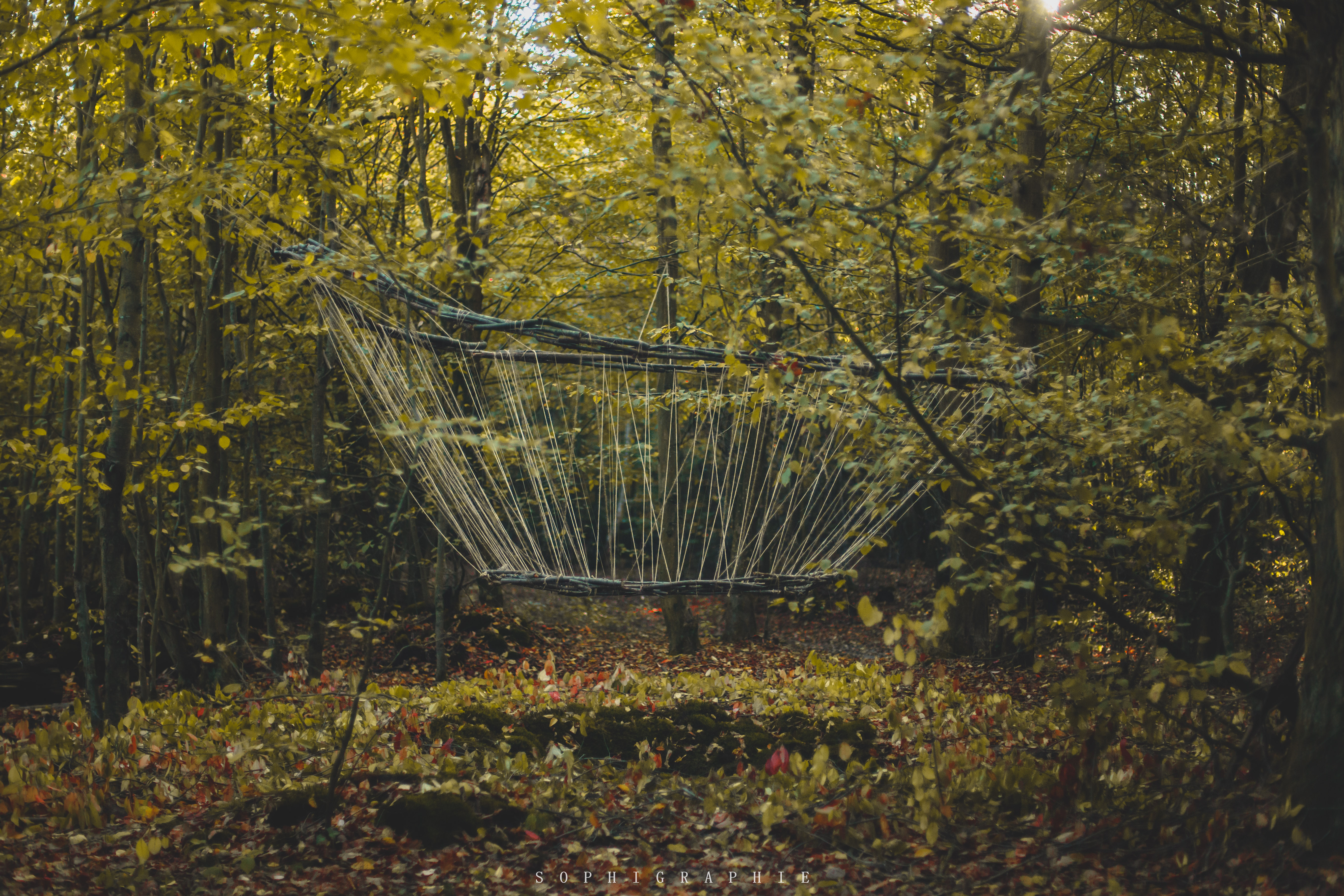 Landart19 26