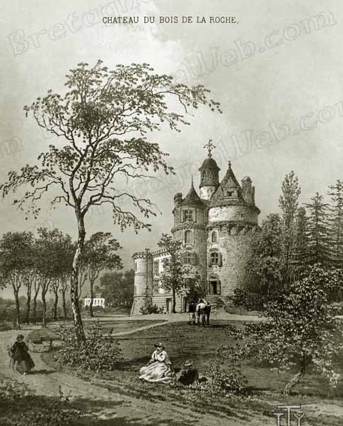 Chateau du bois de la roche