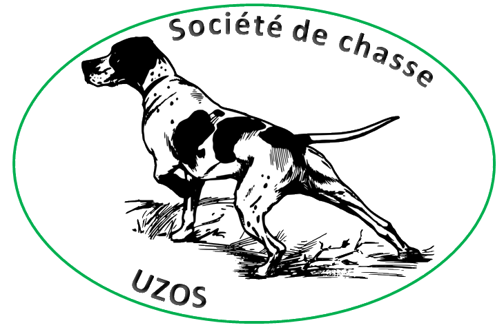 Chasse uzos