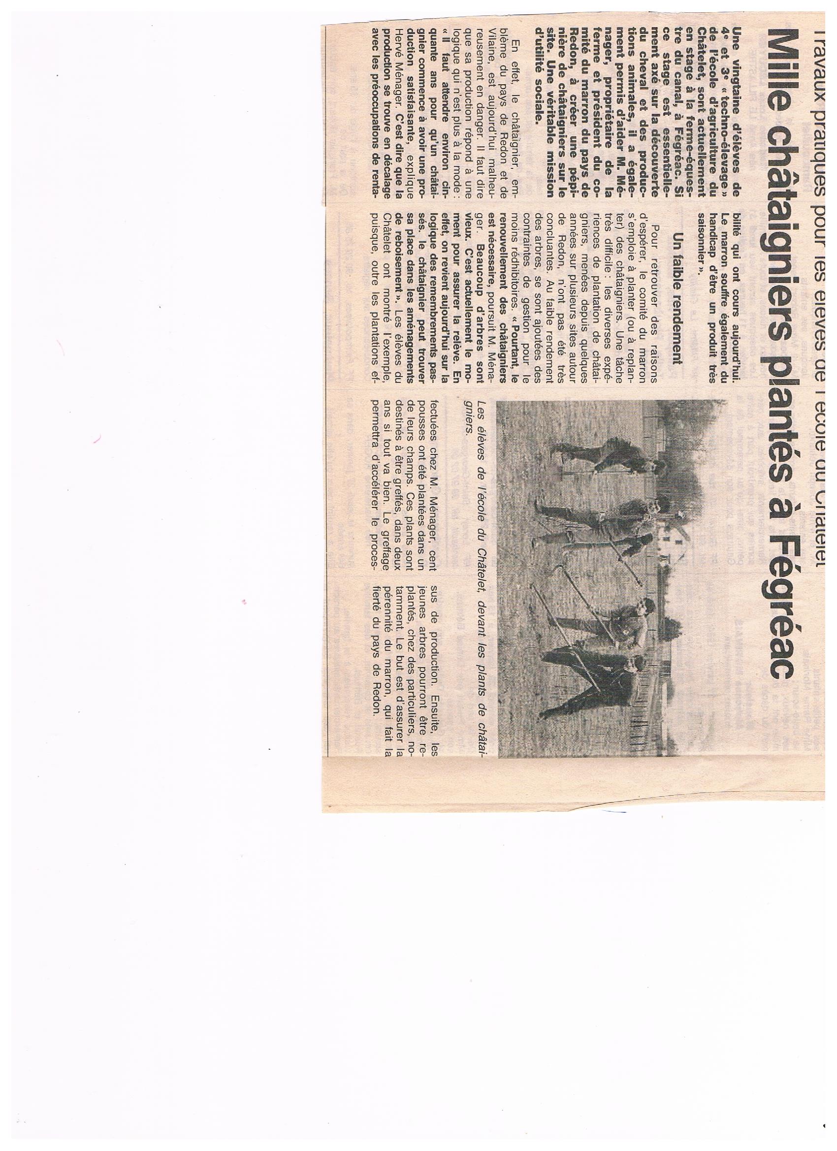 1994 1