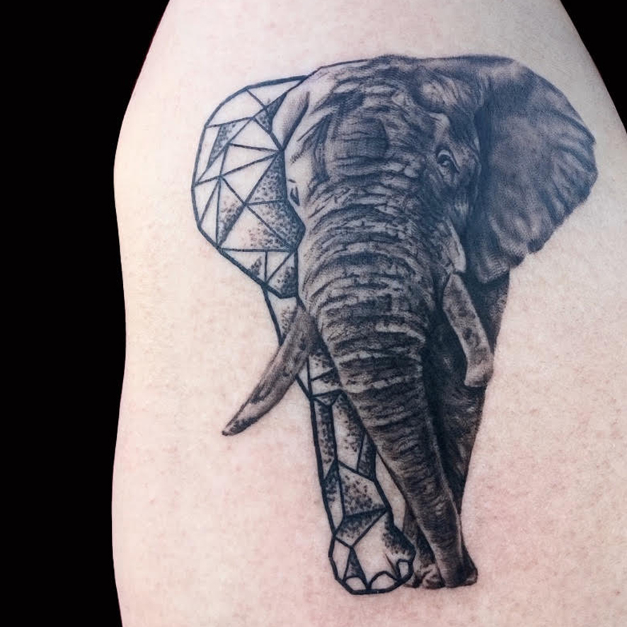 Ele phant