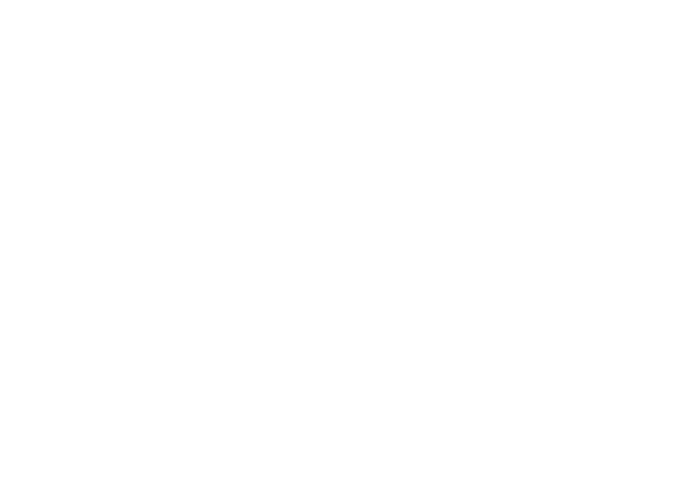 Logo valdi blanc xs