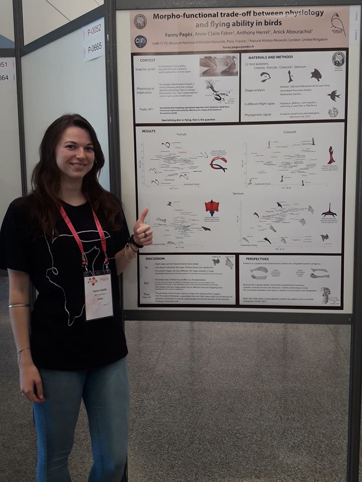 39442202 10216824810109642 2617463893223538688 o