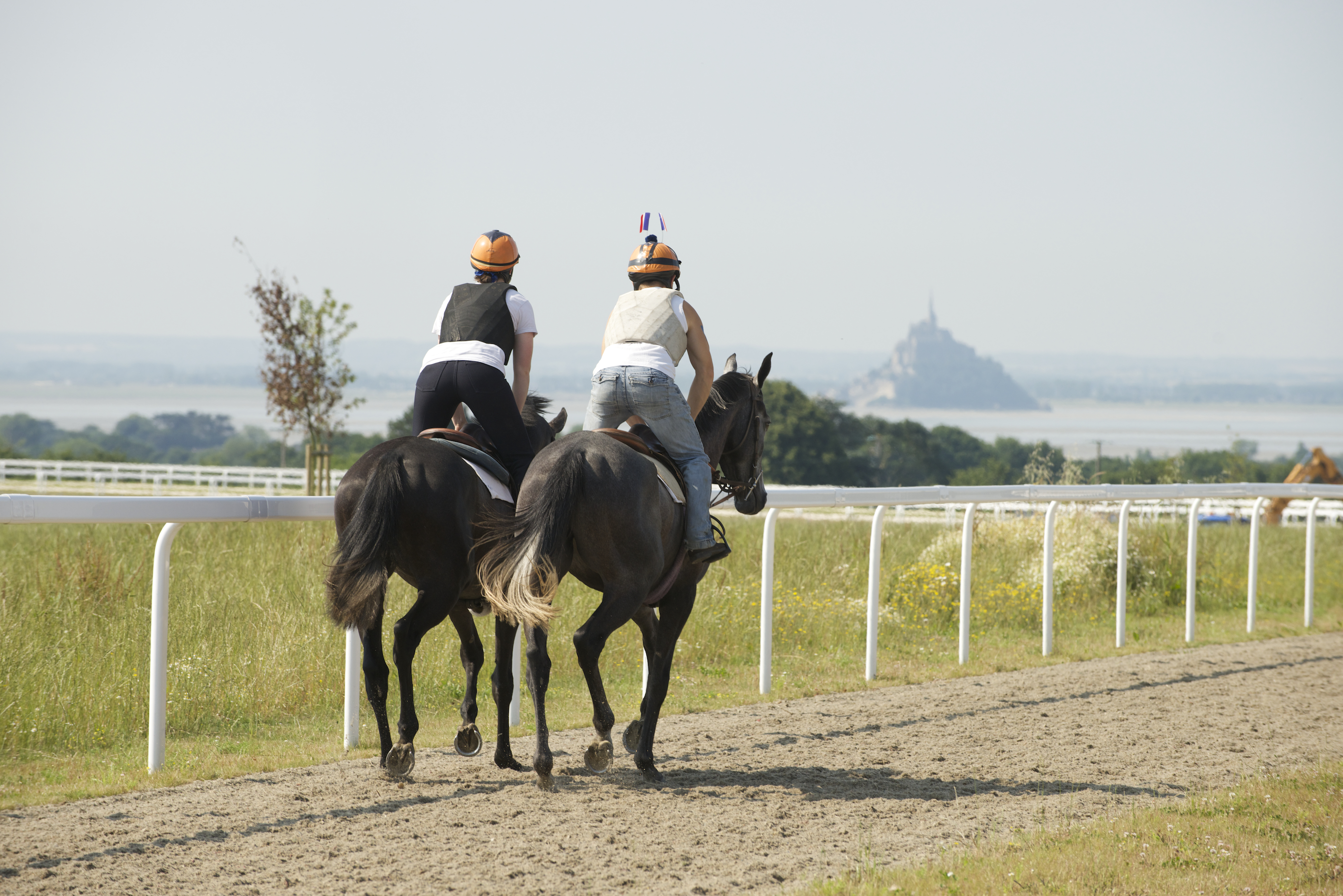 Cheval PETR Baie du Mont-Saint-Michel