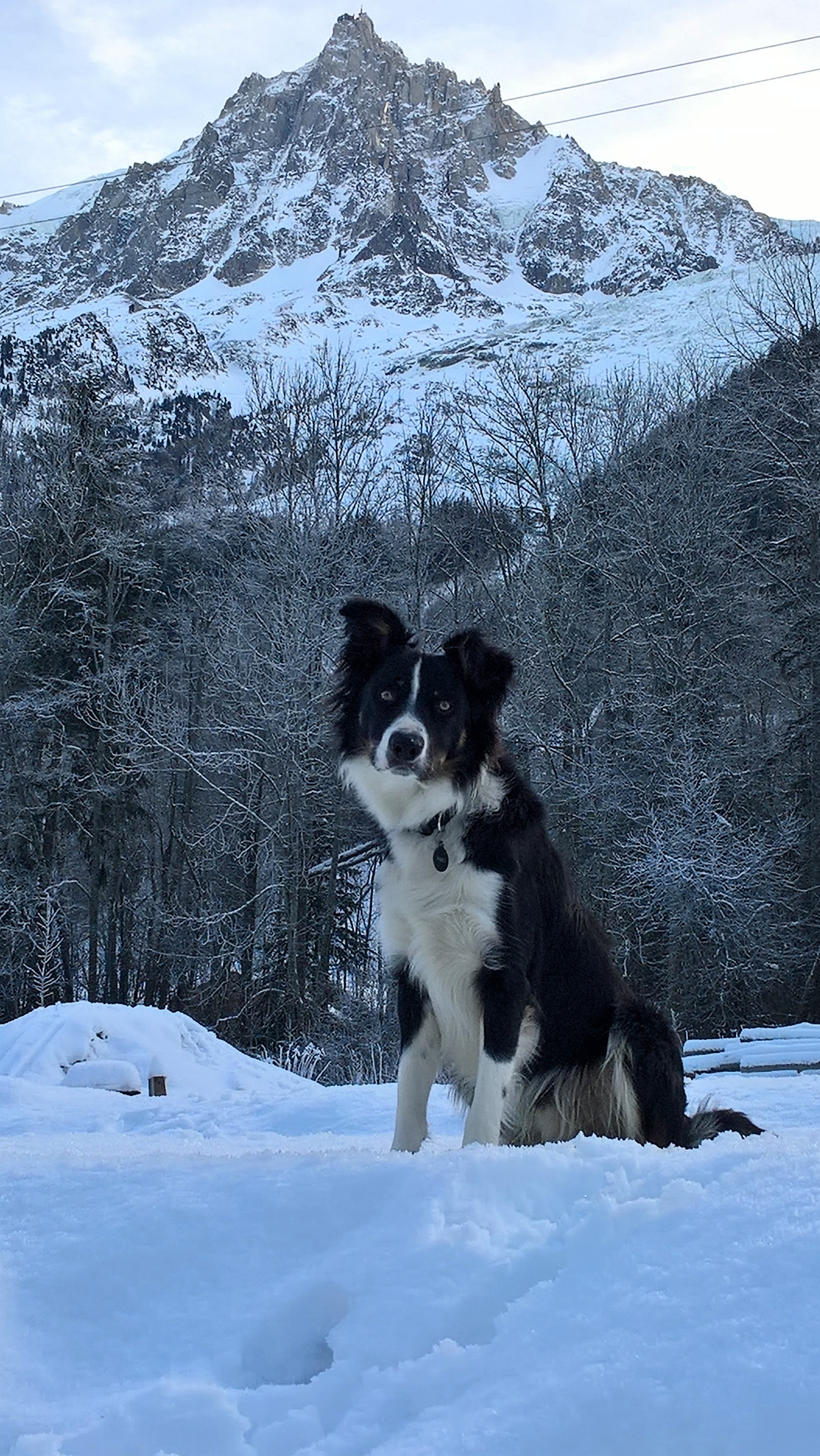 WP 20191231 12 02 14 Pro 2 