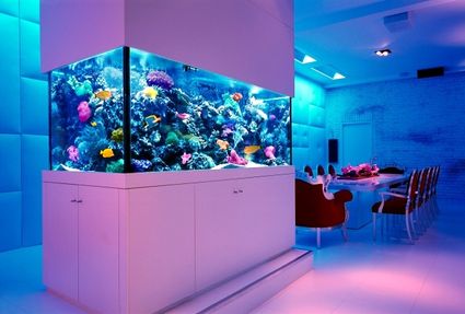 100 ideas integrate aquarium designs in the wall or in the living room 16 411921451
