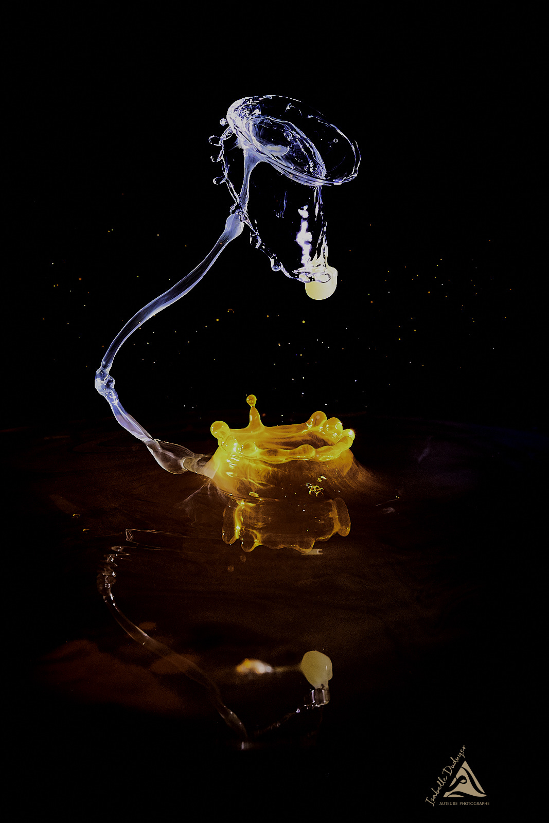 P2050179