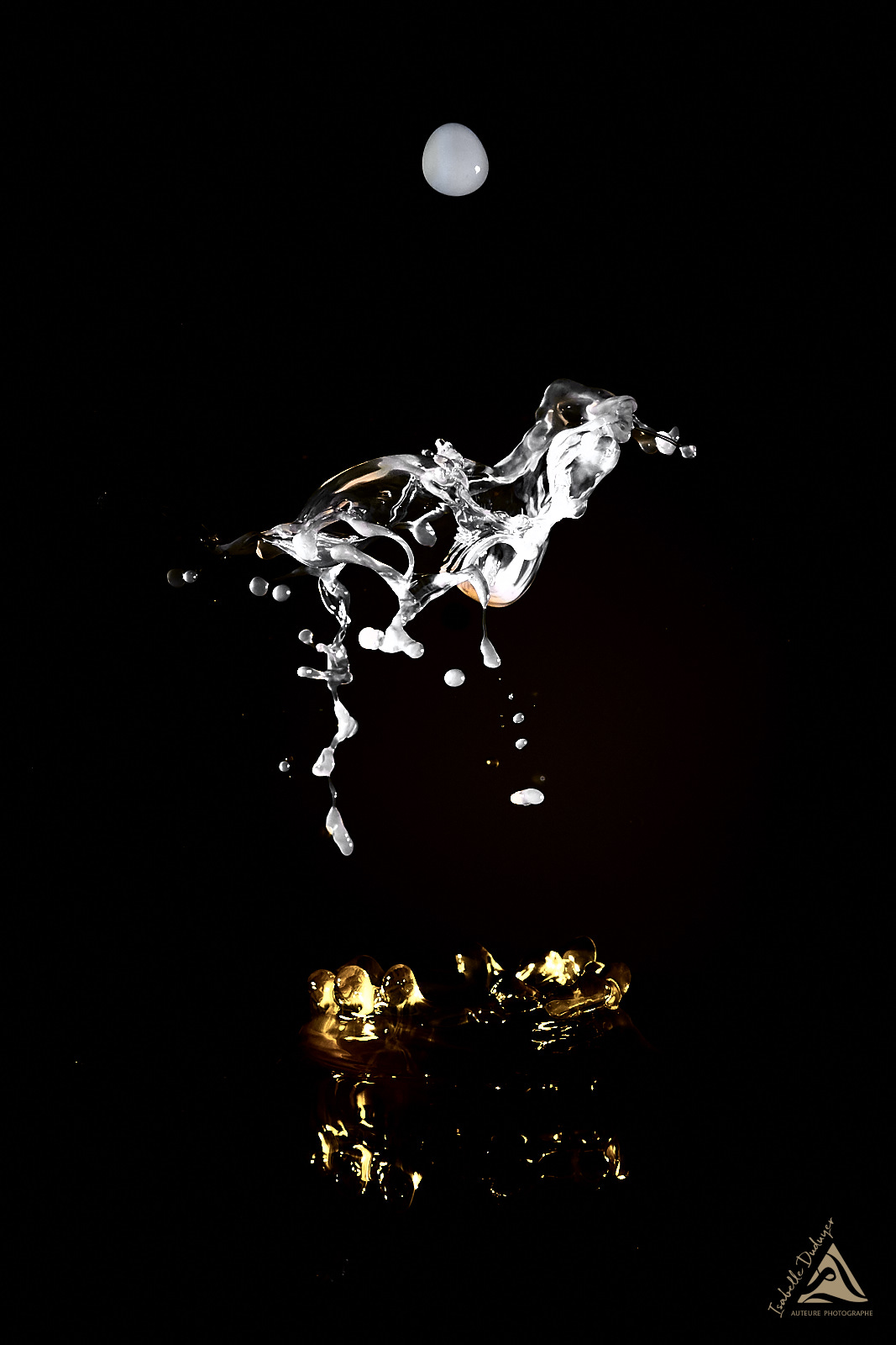 P2090159 1