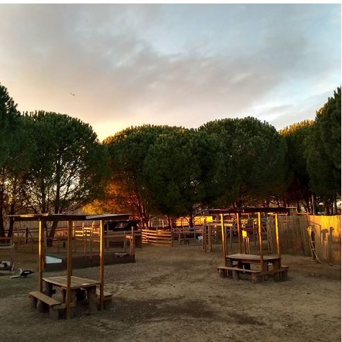 Camping market 4