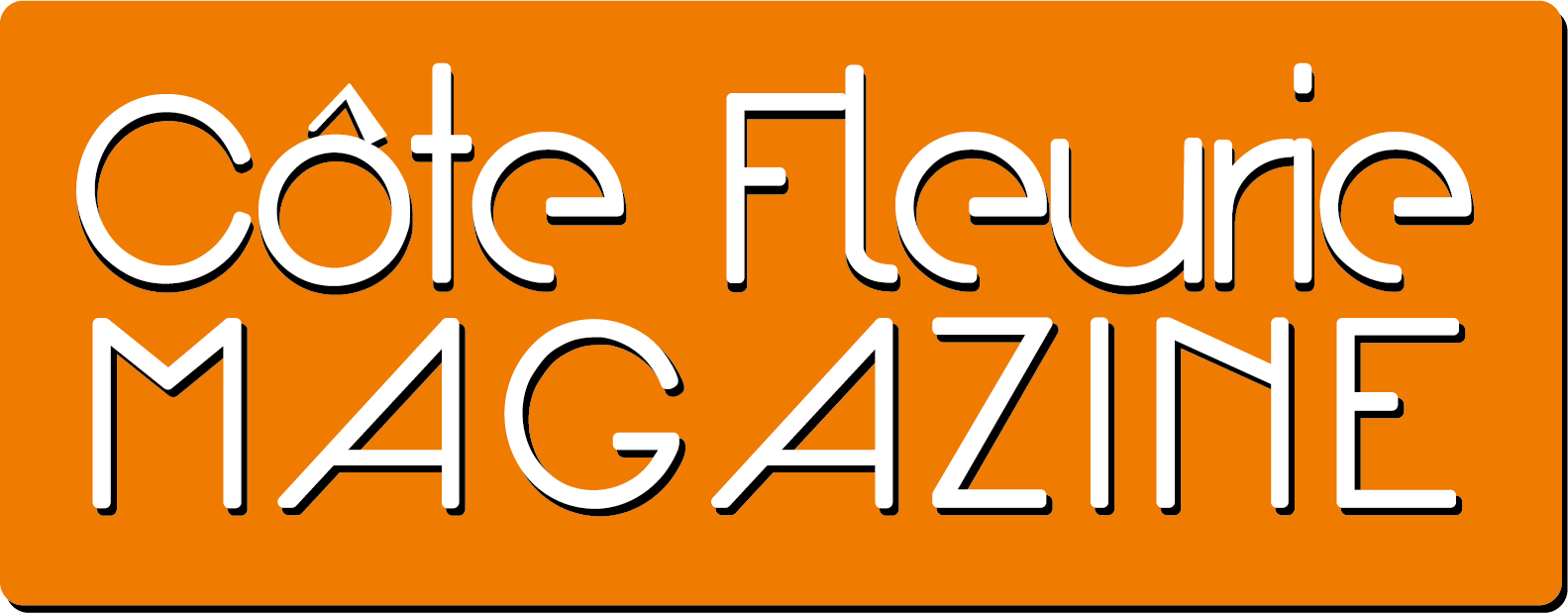 Logo cfm bold vec