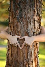 Arbre