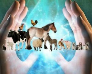 Animaux