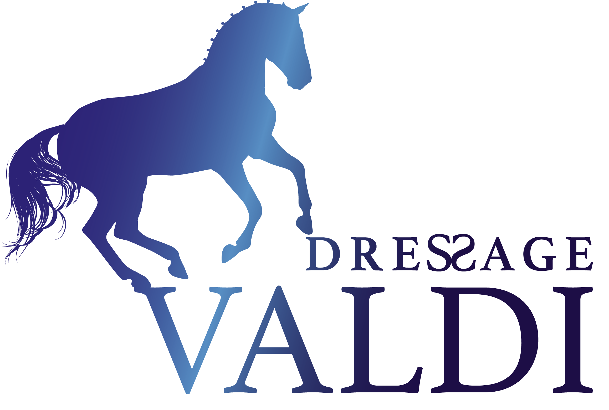 Logo valdi bleu