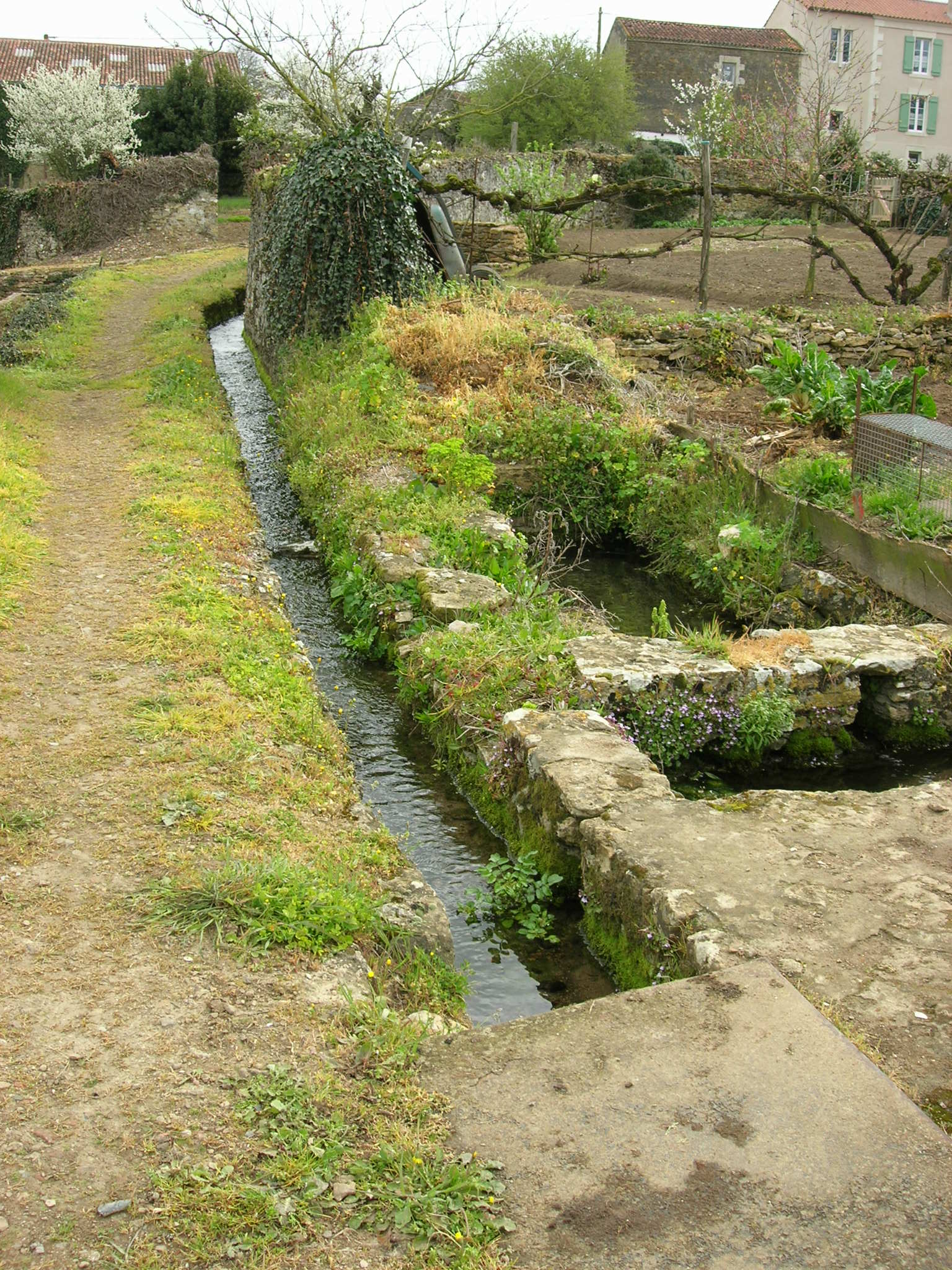 Sigournais font bas jardins 5 