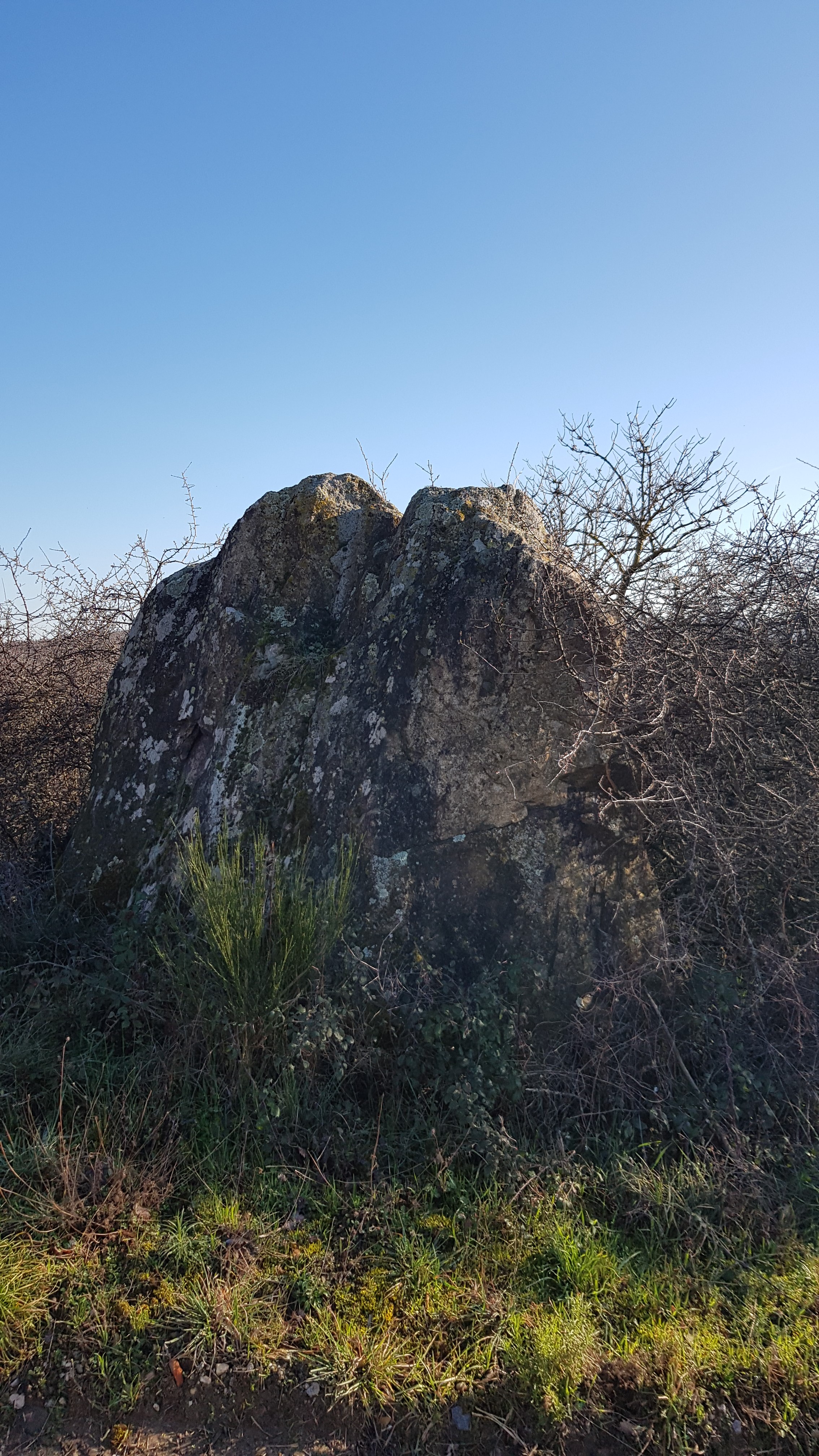 20200220 civaude