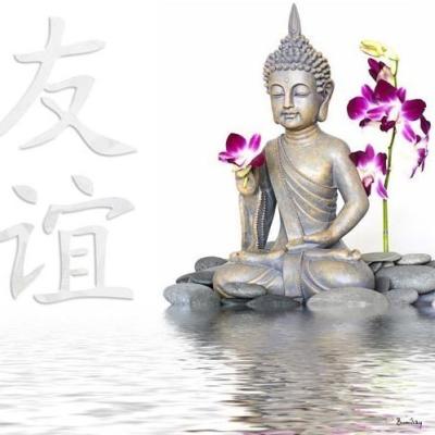 Image zen 24