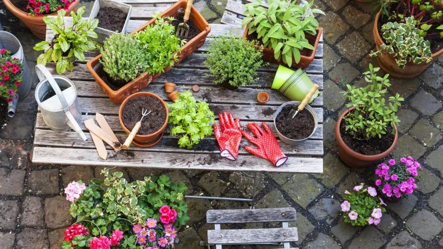 Jardinage