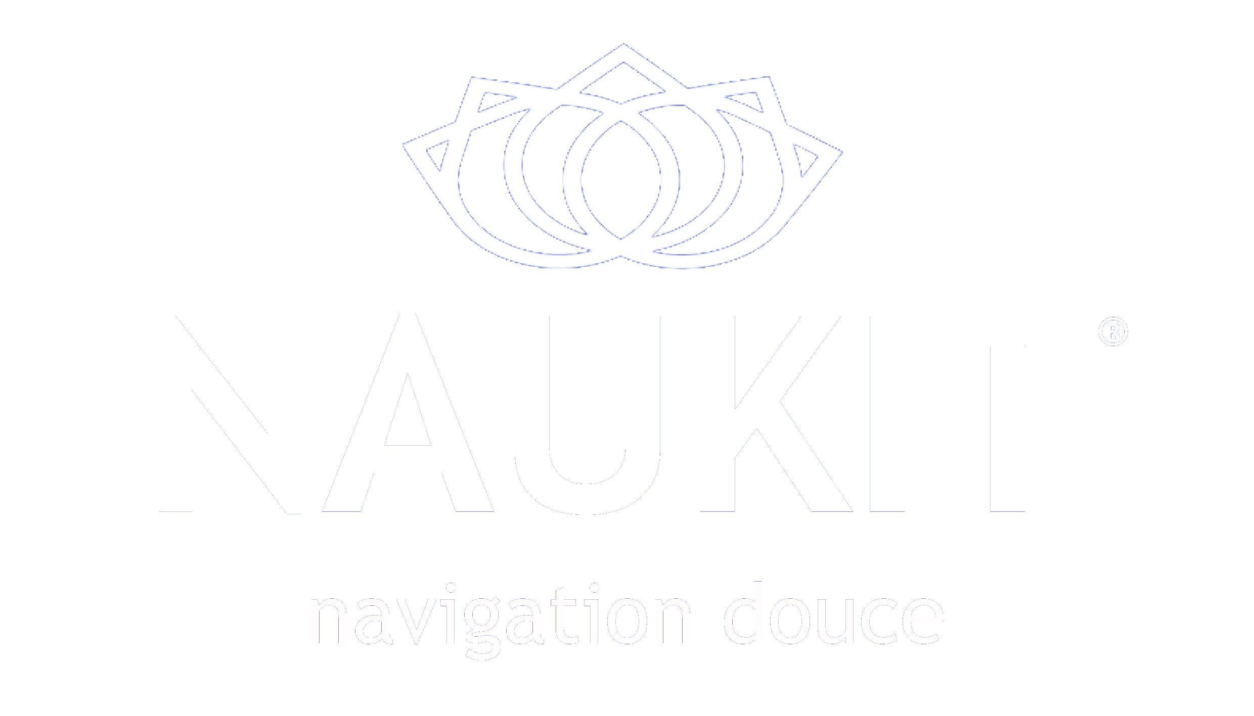 Logo Naukit small baseline